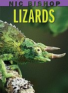 Nic Bishop Lizards
