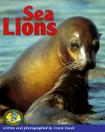 Sea Lions
