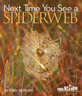 Next Time You See a Spiderweb Book Cover Image