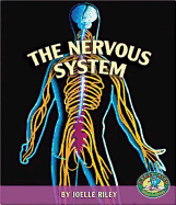 The Nervous System