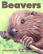 Beavers