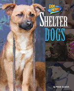 Shelter Dogs