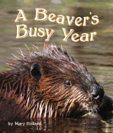 A Beaver's Busy Year