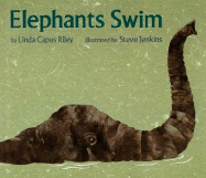 Elephants Swim