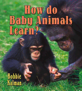 How Do Baby Animals Learn?