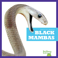 Black Mambas