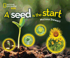 A Seed Is the Start