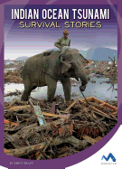 Indian Ocean Tsunami Survival Stories
