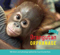 Orangutan Orphanage