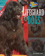 Lifeguard Dogs