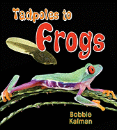 Tadpoles to Frogs