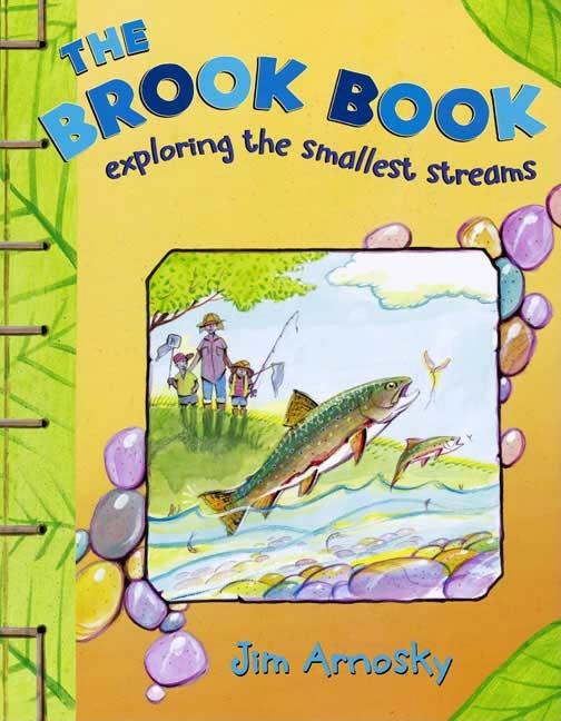 The Brook Book: Exploring the Smallest Streams