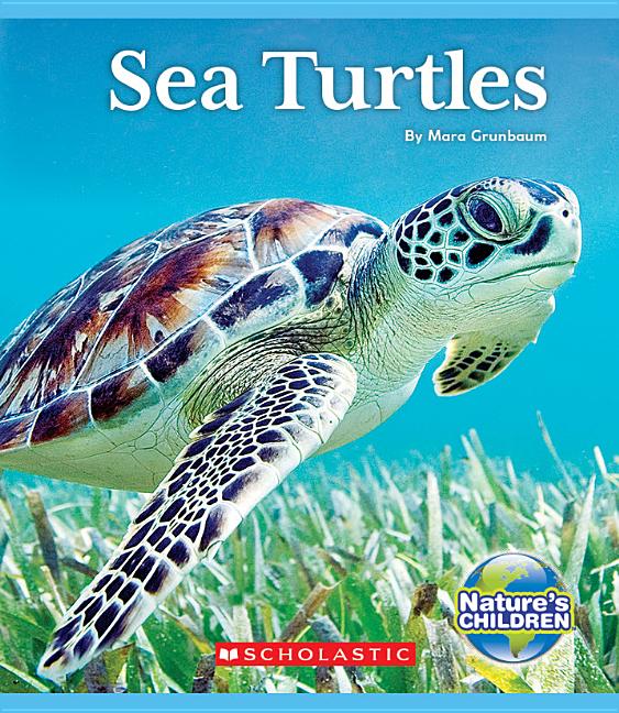 Sea Turtles