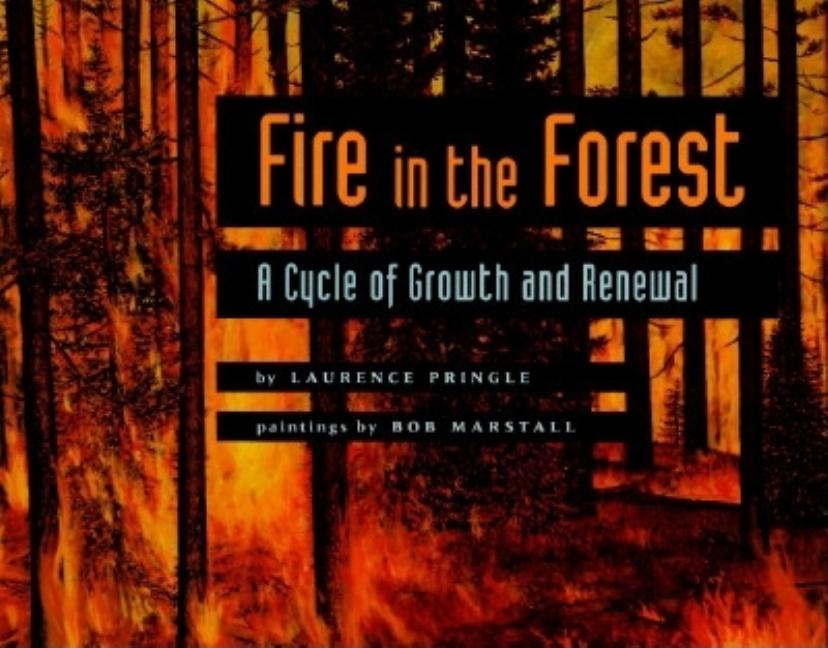 Fire in the Forest: A Cycle of Growth and Renewal