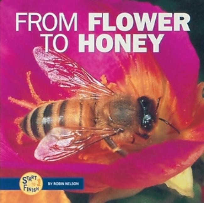 From Flower to Honey