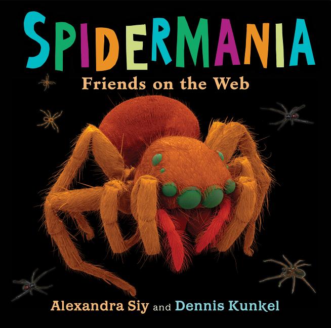 Spidermania: Friends on the Web