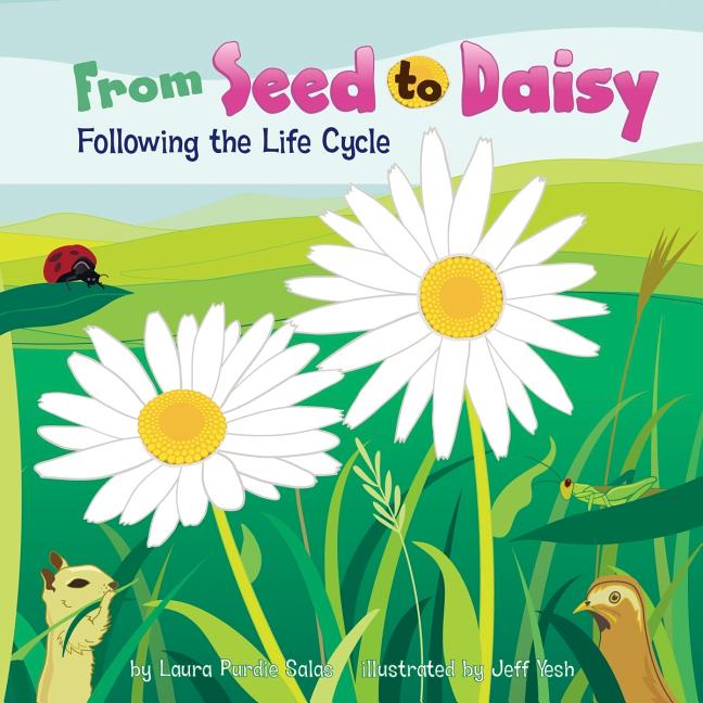 From Seed to Daisy: Following the Life Cycle