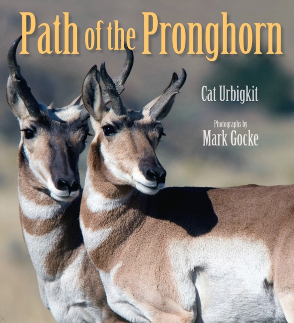 Path of the Pronghorn