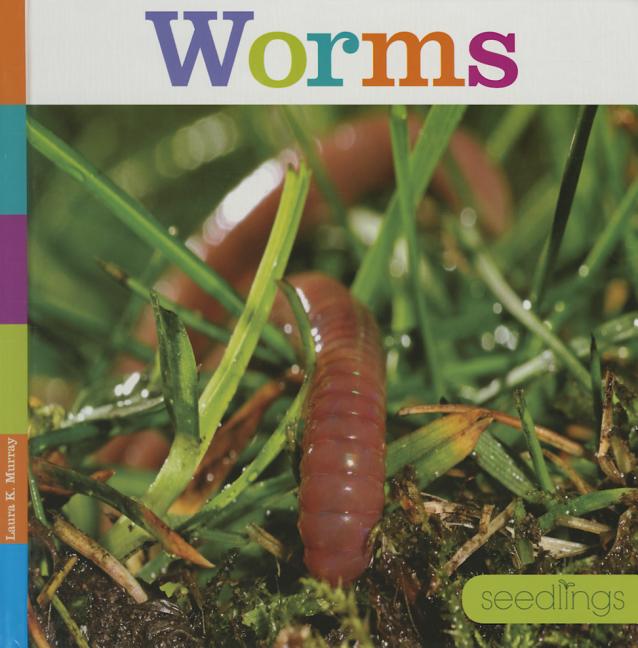 Worms