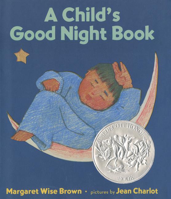 A Child's Good Night Book