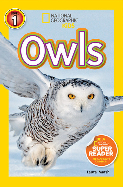 Owls