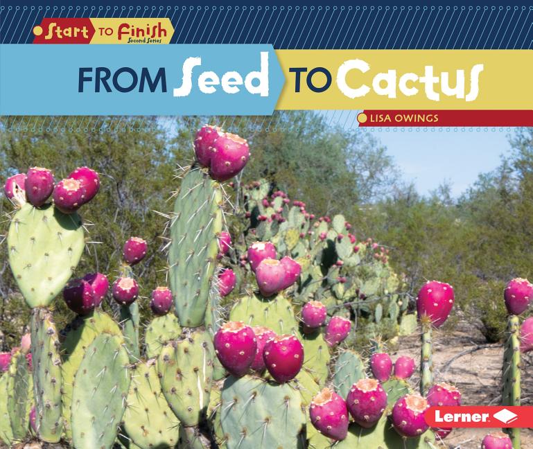 From Seed to Cactus