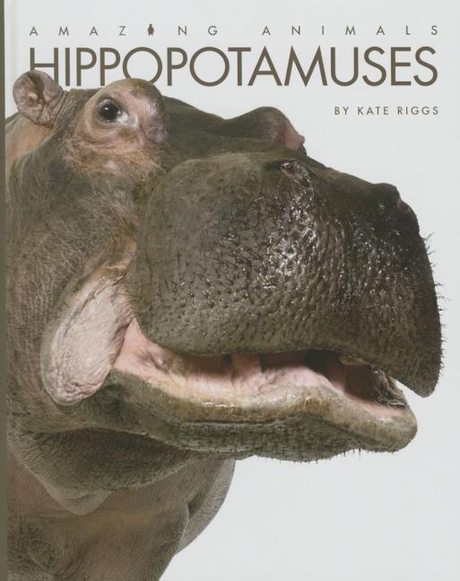 Hippopotamuses