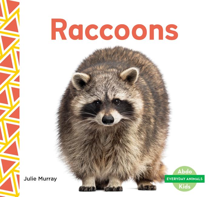 Raccoons