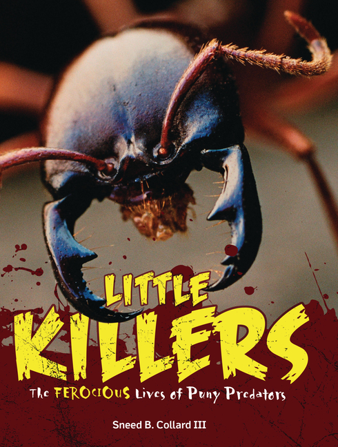 Little Killers: The Ferocious Lives of Puny Predators