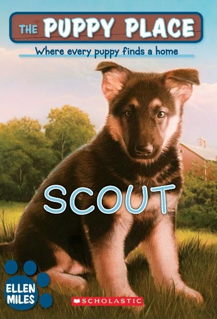 Scout