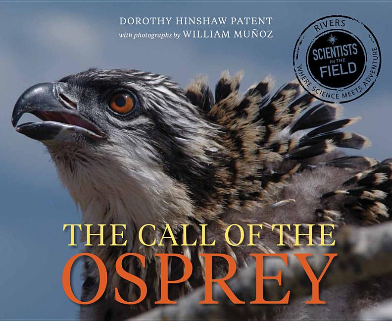 The Call of the Osprey