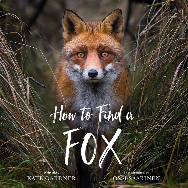 How to Find a Fox