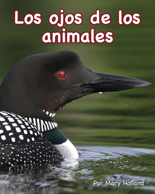 Los ojos de los animales