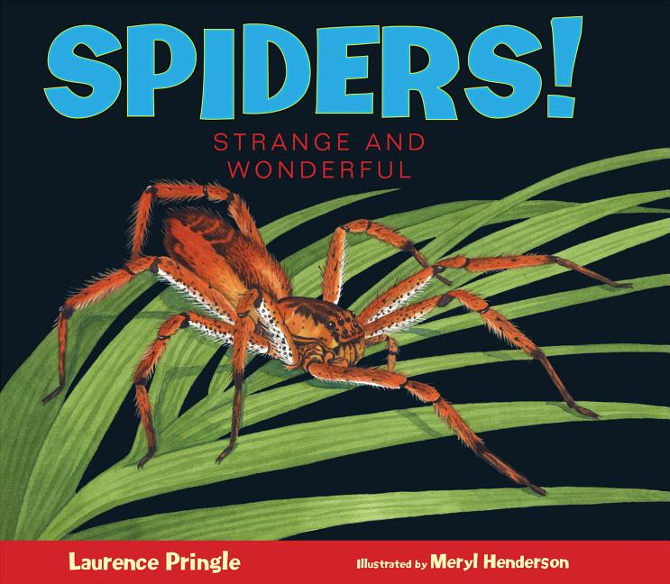 Spiders!: Strange and Wonderful