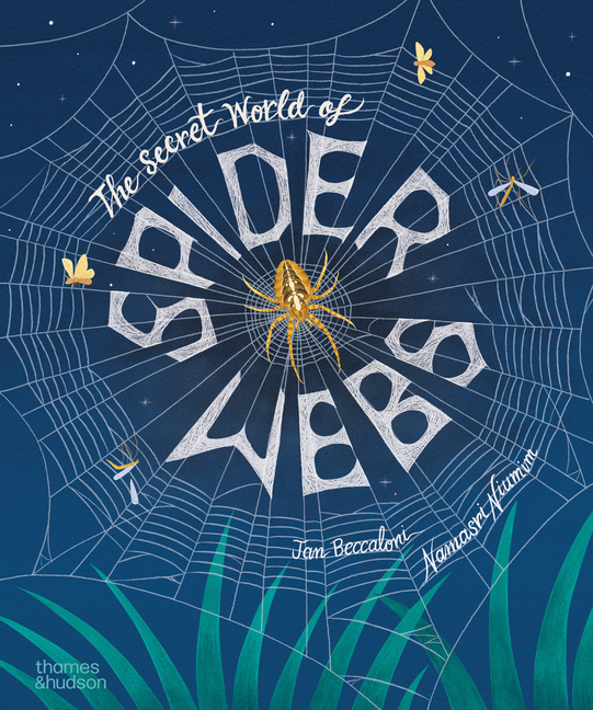 Secret World of Spiderwebs, The