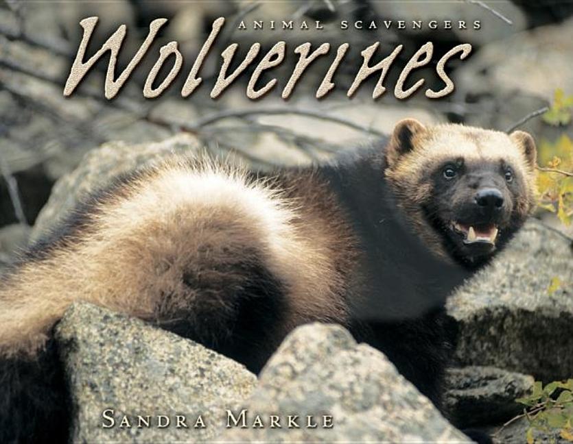 Wolverines