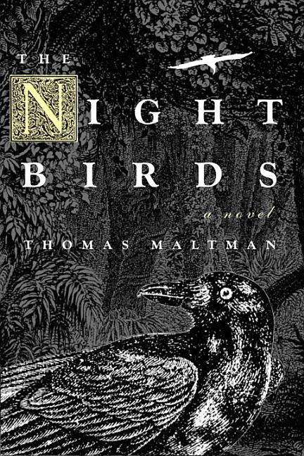 The Night Birds