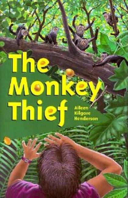 The Monkey Thief