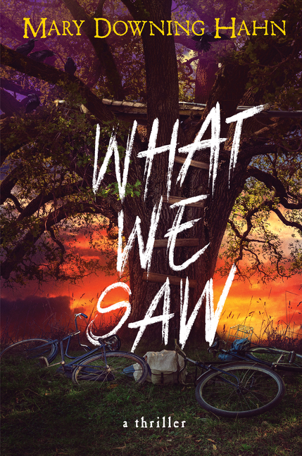 What We Saw: A Thriller