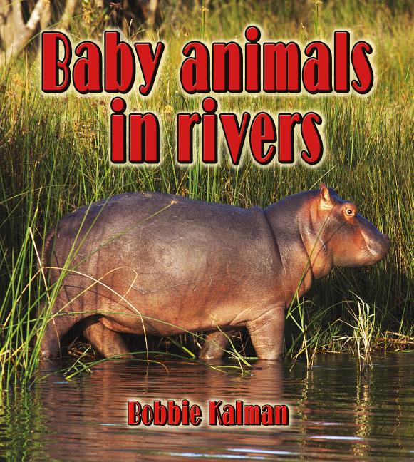 Baby Animals in Rivers