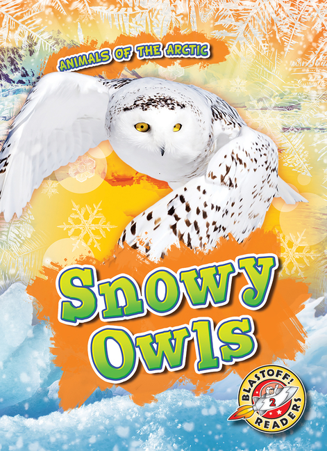 Snowy Owls