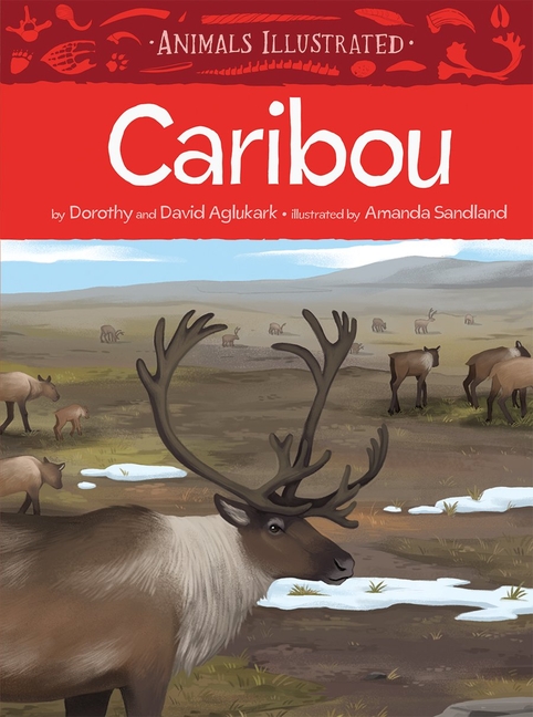 Caribou