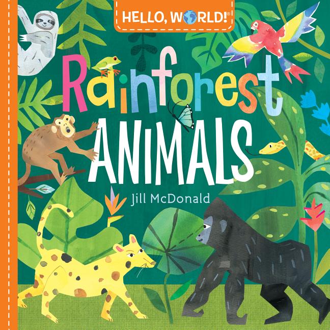 Rainforest Animals