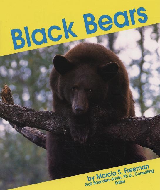 Black Bears