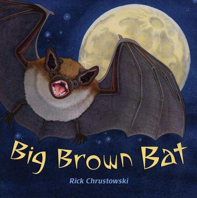 Big Brown Bat