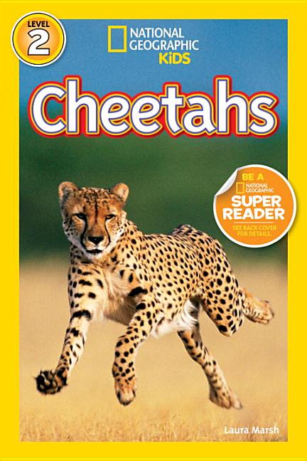 Cheetahs