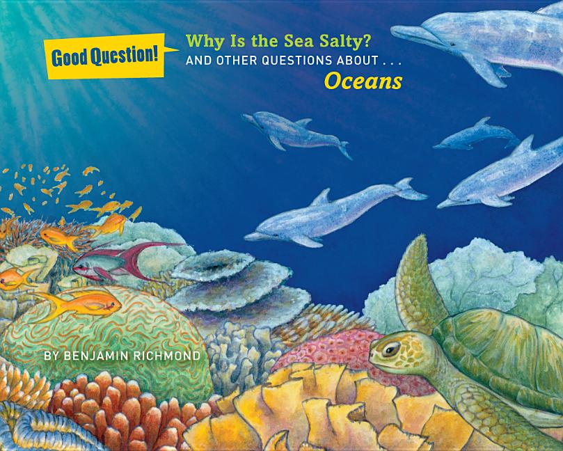 Why Is the Sea Salty?: And Other Questions About... Oceans