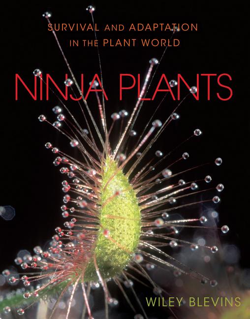 Ninja Plants: Survival and Adaptation in the Plant World