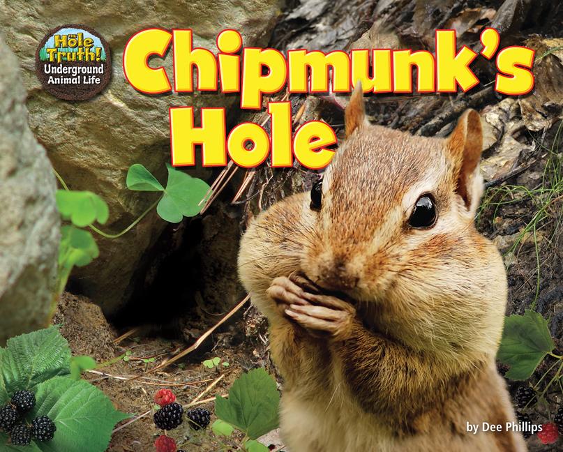 Chipmunk's Hole