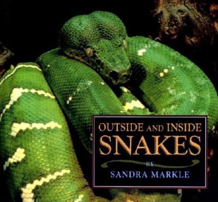 Outside and Inside Snakes